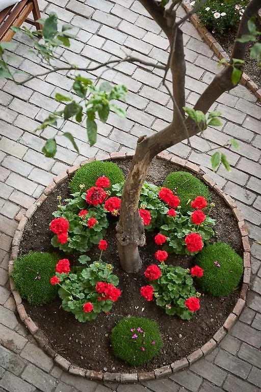לינה וארוחת בוקר טאורמינה Villa Giannina B&B